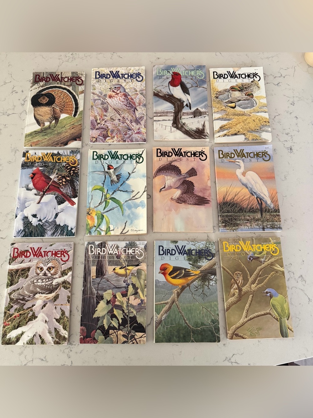 Lot Of 12 1990’s Issues Of Bird Watchers Digest Collectable* Vintage Birding Art